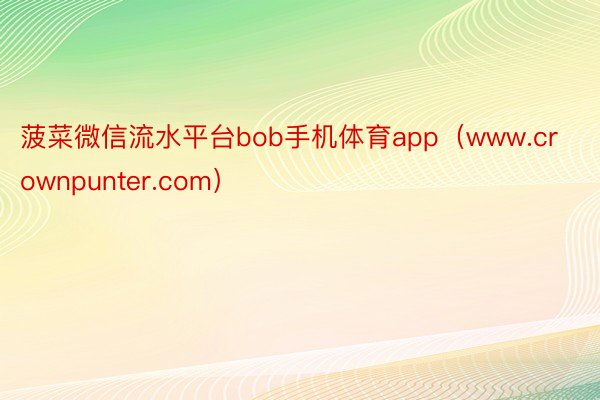 菠菜微信流水平台bob手机体育app（www.crownpunter.com）